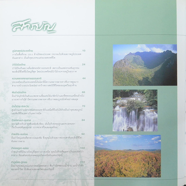 ป่ามรดกไทย อาณาจักรพรรณพืชและสรรพชีวิตแห่งป่าเขตร้อน (ขายตามสภาพ)