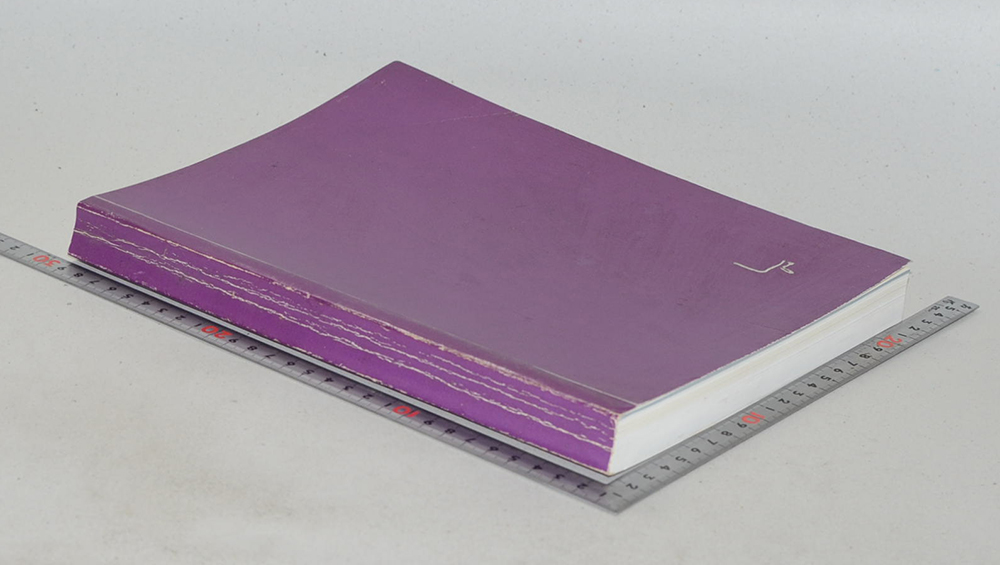 นายบัณฑิต บุณยะปานะ (ชีวประวัติ)