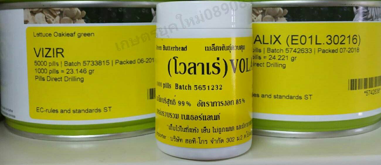 โวลาเร่ แบบเคลือบ 1000เมล็ด(Enza)