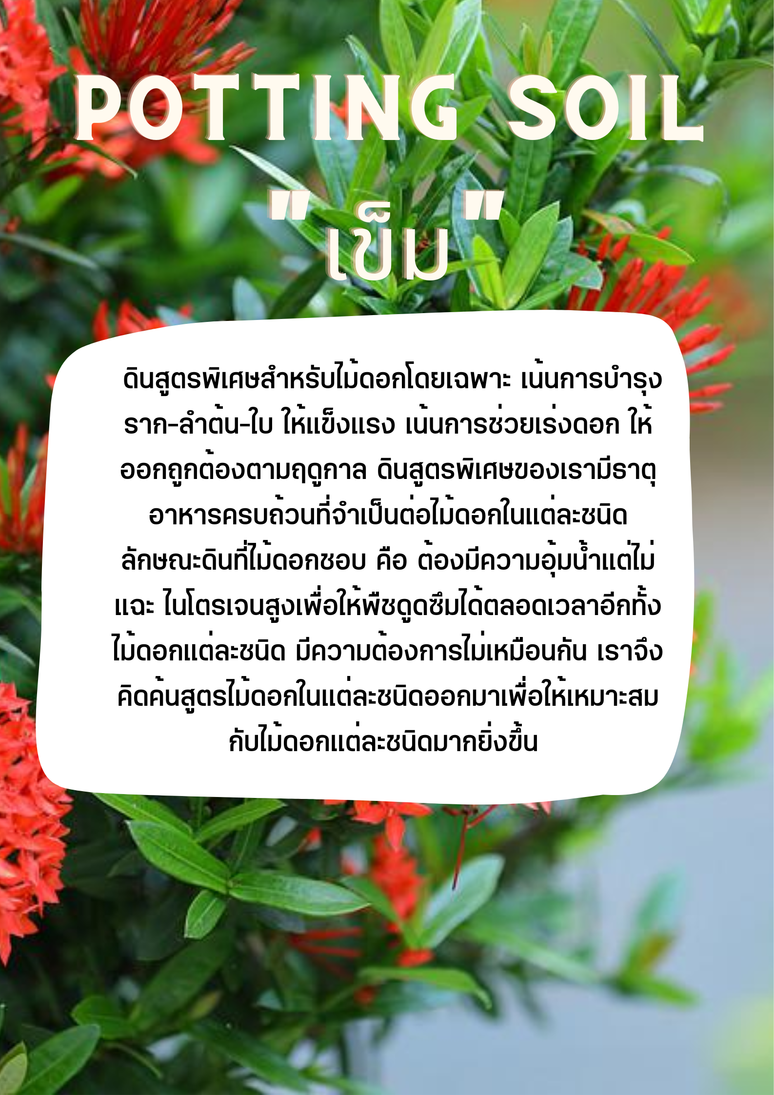 POTTING SOIL ดินเข็ม