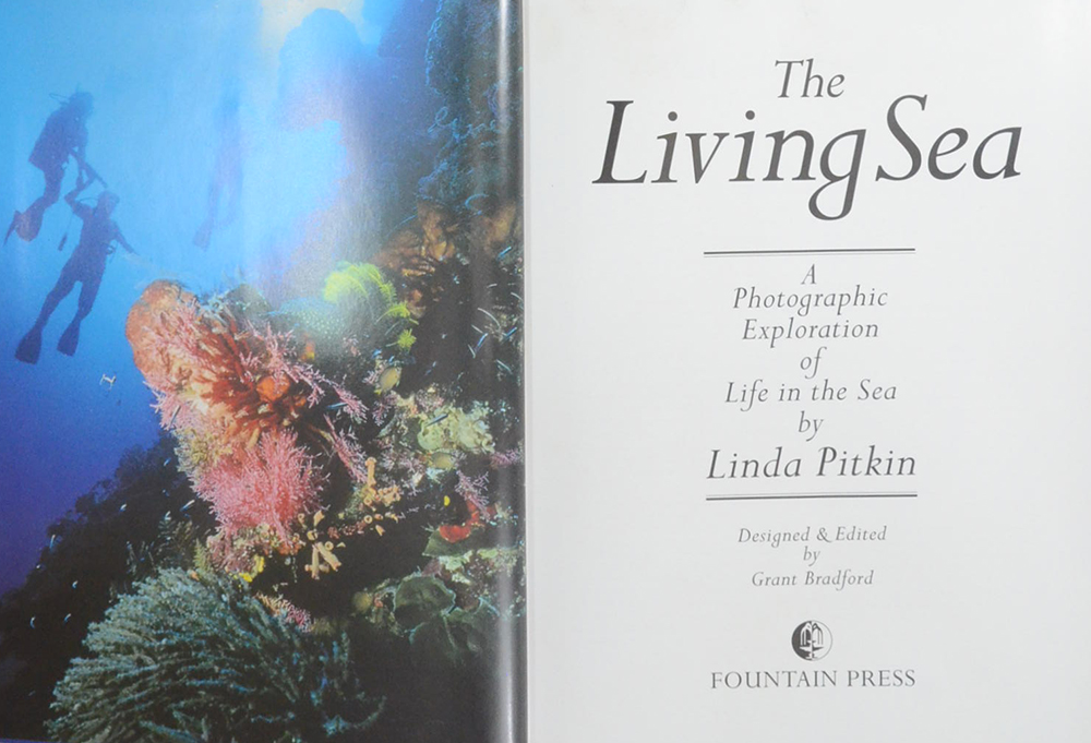 The Living Sea A Photographic Exploration of Life in the Sea