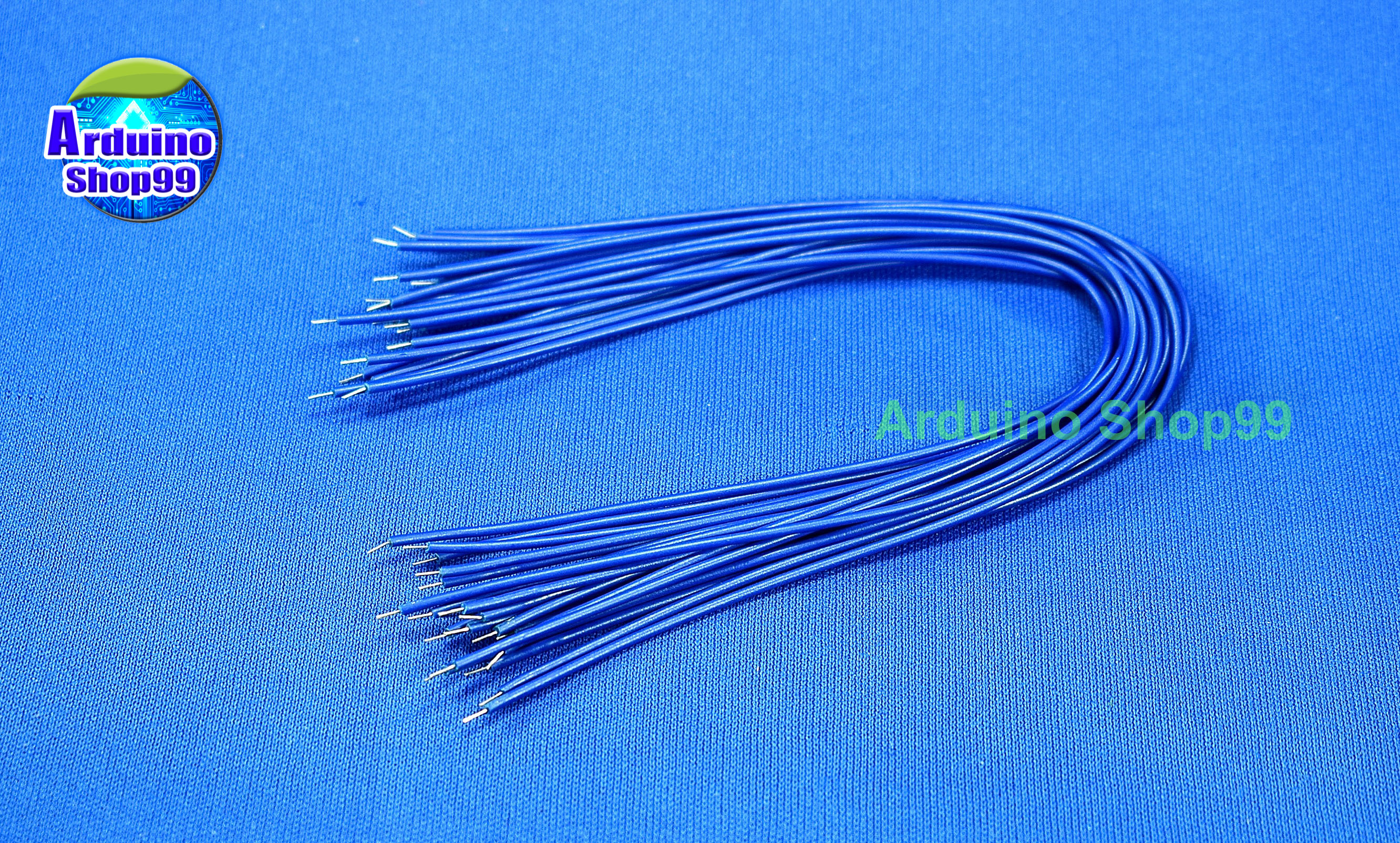 wire 20 cm-ฺฺBlue-20เส้น (หัวชุบตะกั่วพร้อมบัดกรี)