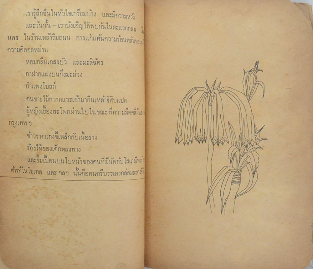 พฤษภาคม อุไร