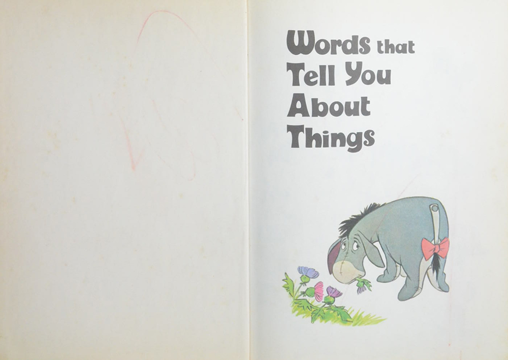 Words that Tell you About Things