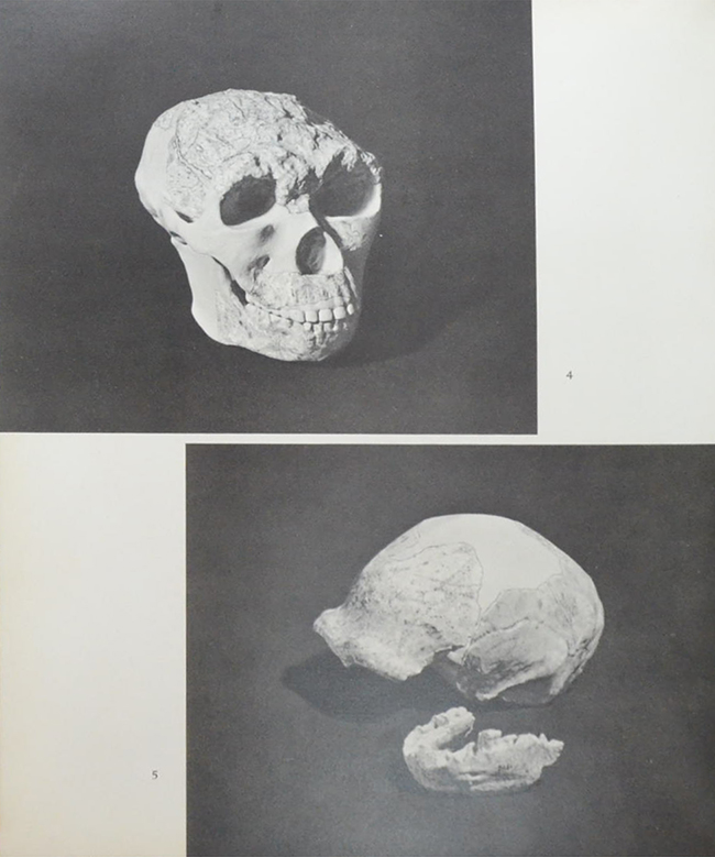 โบราณวัตถุ-ศิลปวัตถุ ของจีน