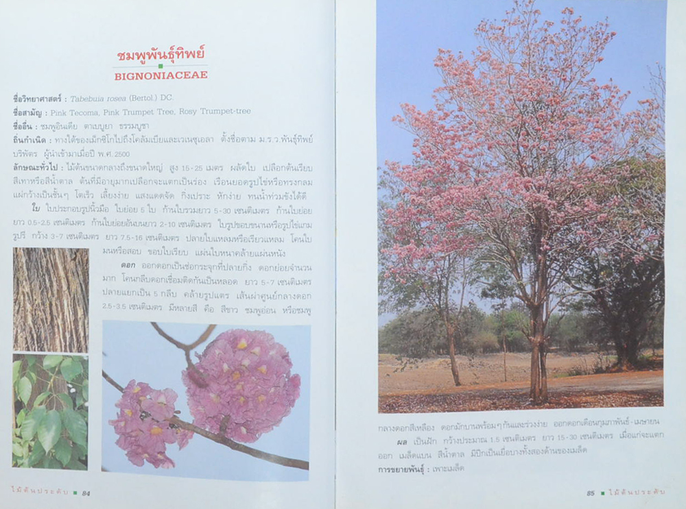 ไม้ต้นประดับ (เล่ม 1) (ขายตามสภาพ)