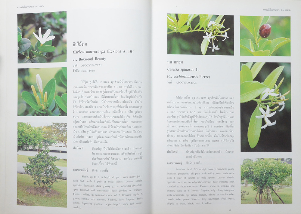 พรรณไม้ในสวนหลวง ร.9 (เล่ม 2 / ขายตามสภาพ)