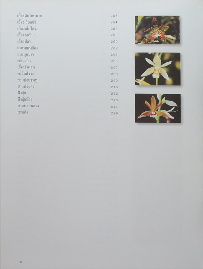 สวนพฤกษศาสตร์สมเด็จพระนางเจ้าสิริกิติ์ เล่ม 6 กล้วยไม้ไทย (ขายตามสภาพ)