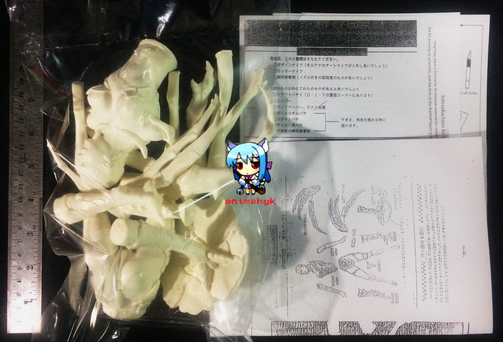 Edina Hawked Fairly 1/6