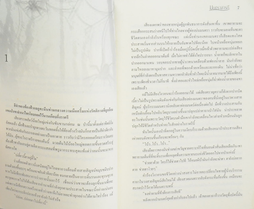 มนตราสารภี (เล่มเดียวจบ)