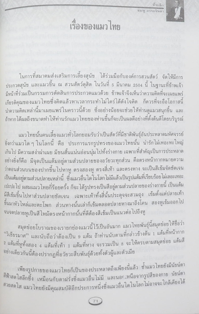 นายชมพู อรรถจินดา (เรื่องของแมวไทย)