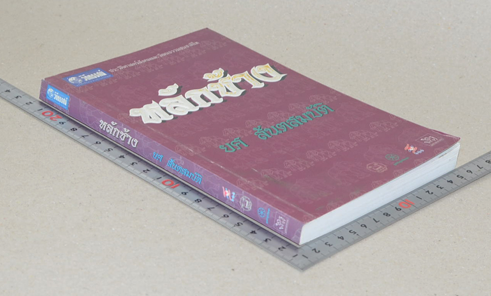 หลักช้าง