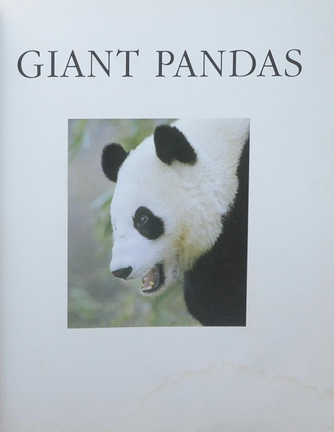 GIANT PANDAS