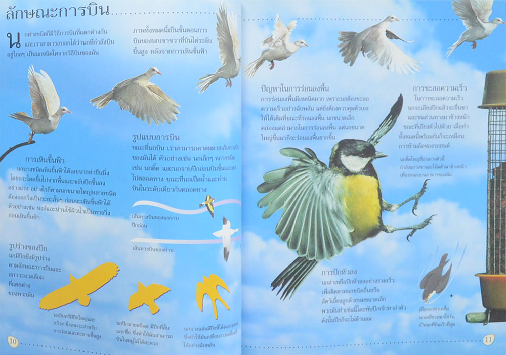 โลกของนก (ขายตามสภาพ)