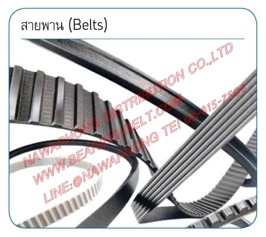 SKF HTD 3M-1125-9MM. (สั่งซื้อ 02-8157506, 037-452571)