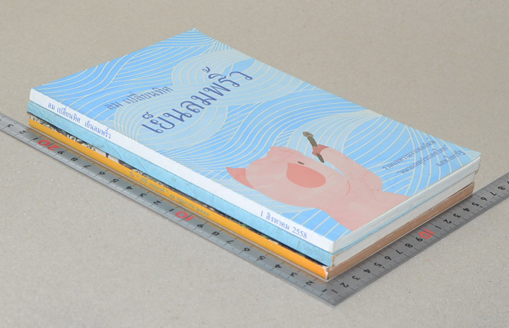 รวมเรื่อง (3 เล่ม)