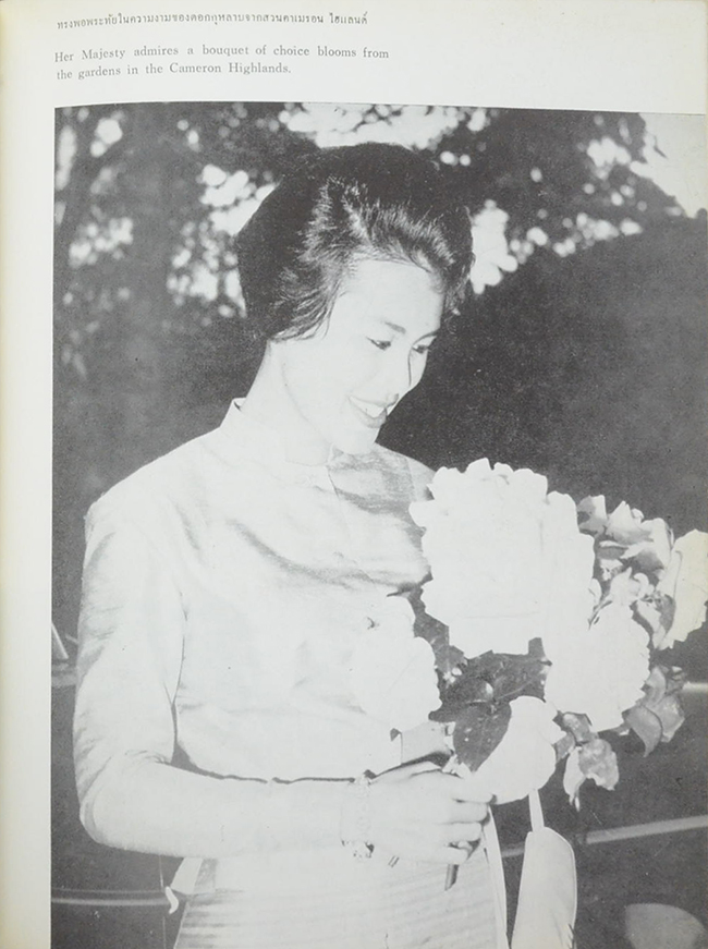 ทรงพระเจริญ (ภาษาไทย-อังกฤษ)