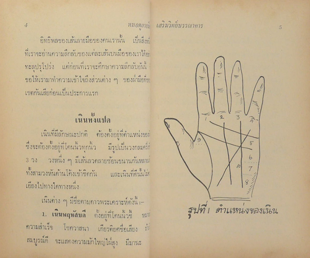 หมอดูลายมือ ประจำบ้าน