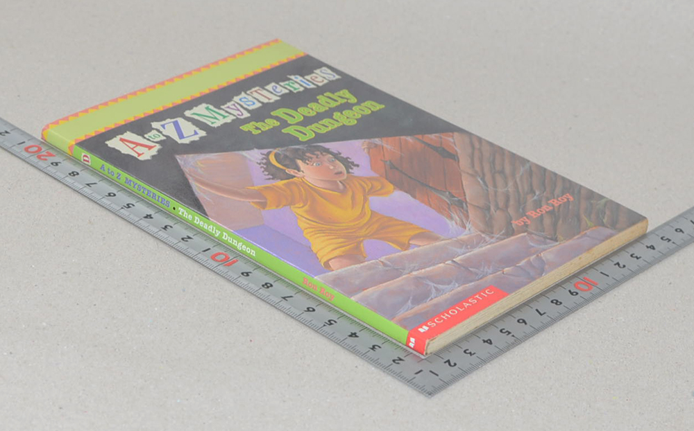 A to Z MYSTERIES The Deadly Dungeon