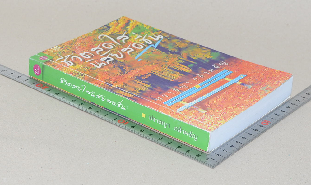 ชีวิตสดใส นิสัยสดชื่น (ขายตามสภาพ)