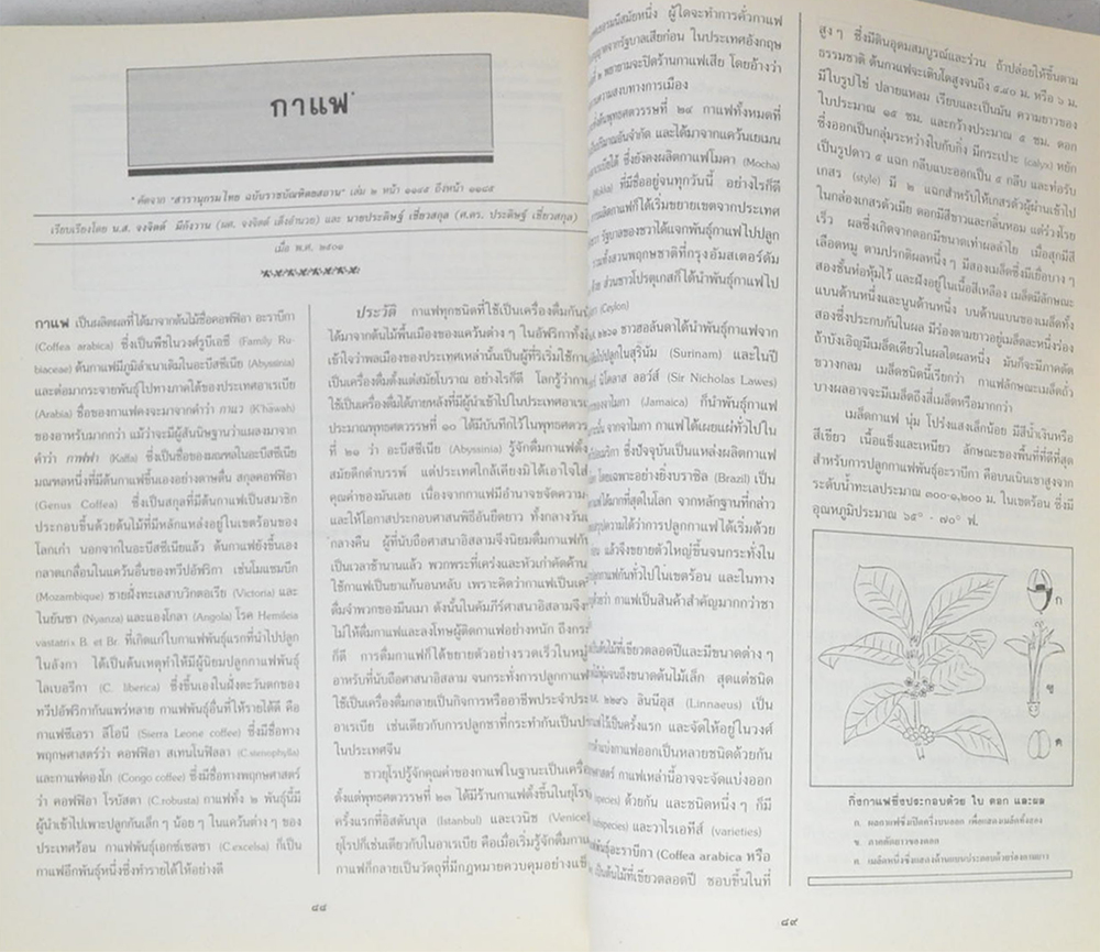 ผศ.จงจิตต์ เต็งอำนวย (กาแฟ)