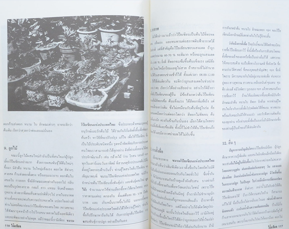 ตำราการปลูก-ขยายพันธุ์โป๊ยเซียน ต้นไม้เสี่ยงทาย (เล่ม 3)