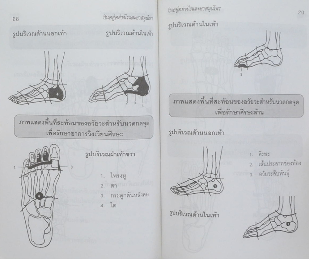 นายพิเชฏฐ์ จันทรสมบัติ (กินอยู่อย่างไรจึงจะมีอายุเกิน 100 ปี)