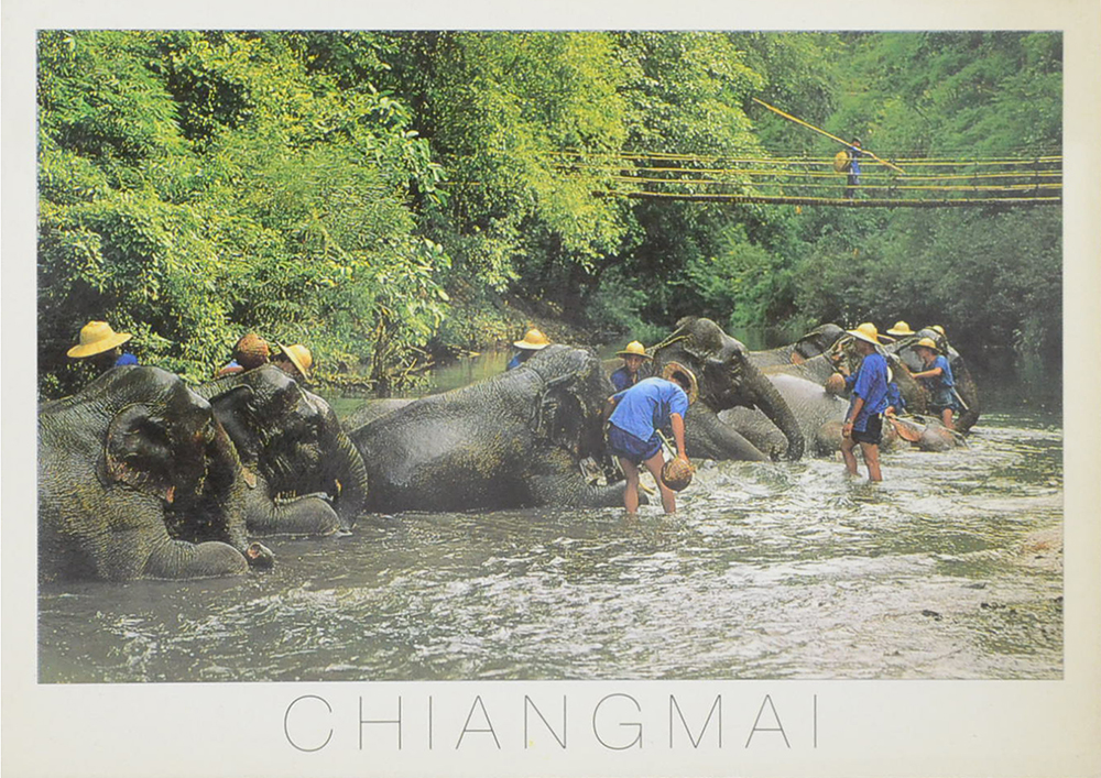 โปสการ์ด (4 ใบ)