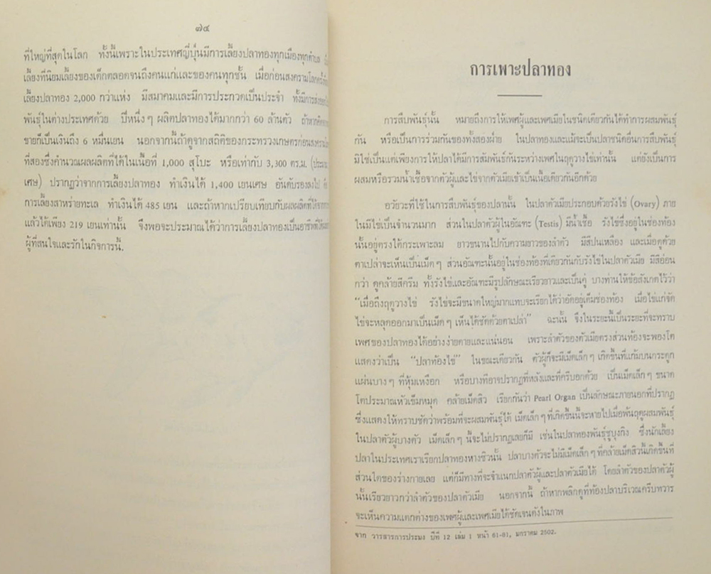 ปกิณกะประมง