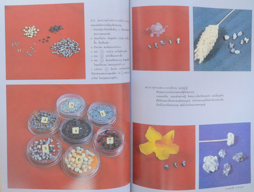 กุลเชฏฐาภิวาท