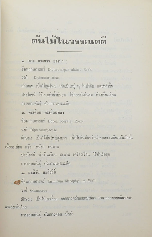 สิทธิเทศานนท์ (เรื่องต้นไม้ในวรรณคดี)