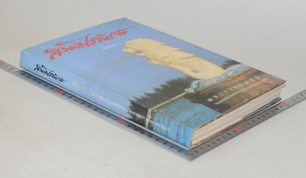 สิงคโปร์สัญจร