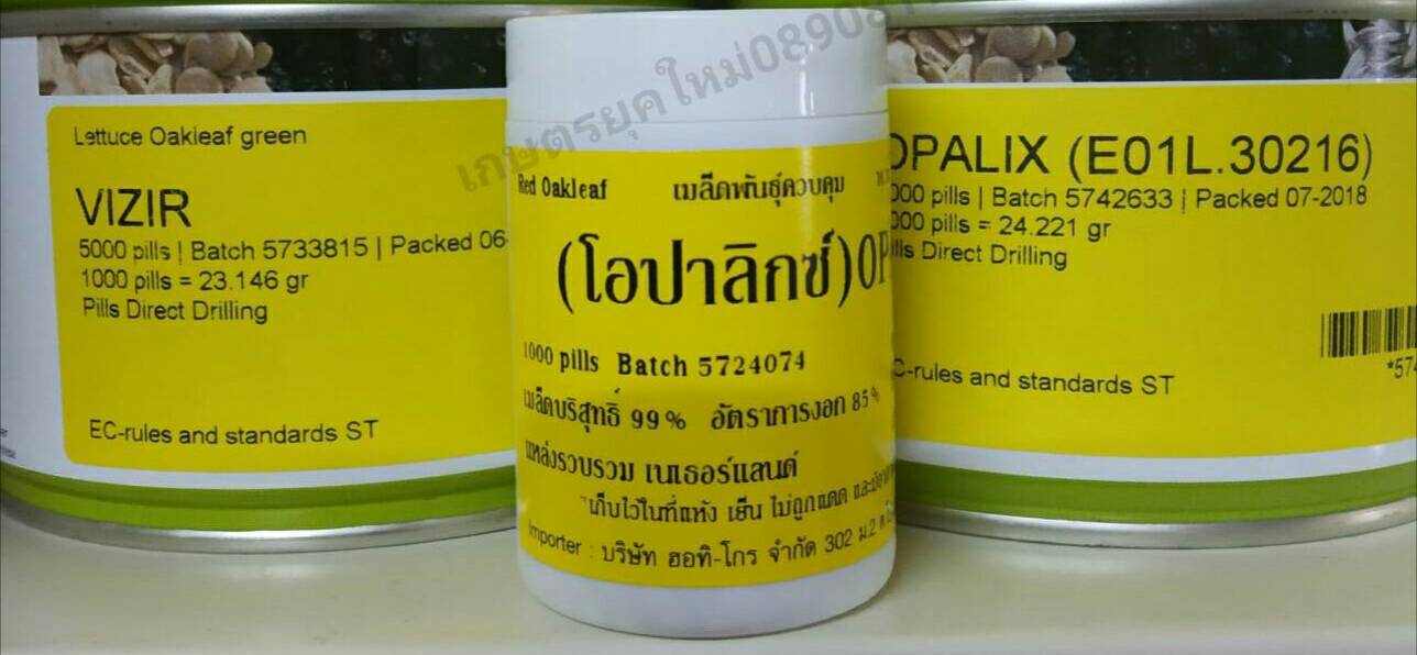 โอปาลิกซ์ แบบเคลือบ 1000เมล็ด(Enza)