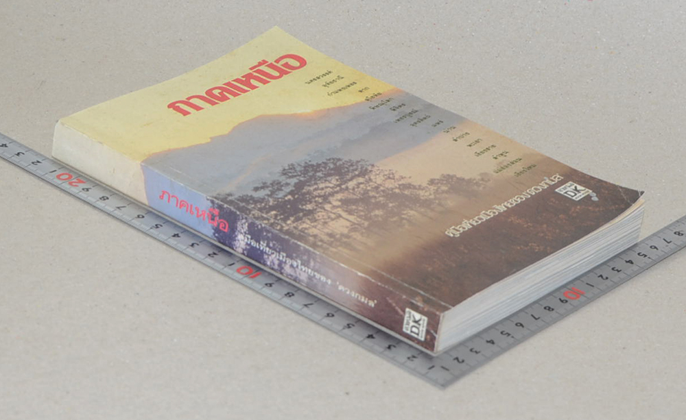 ภาคเหนือ