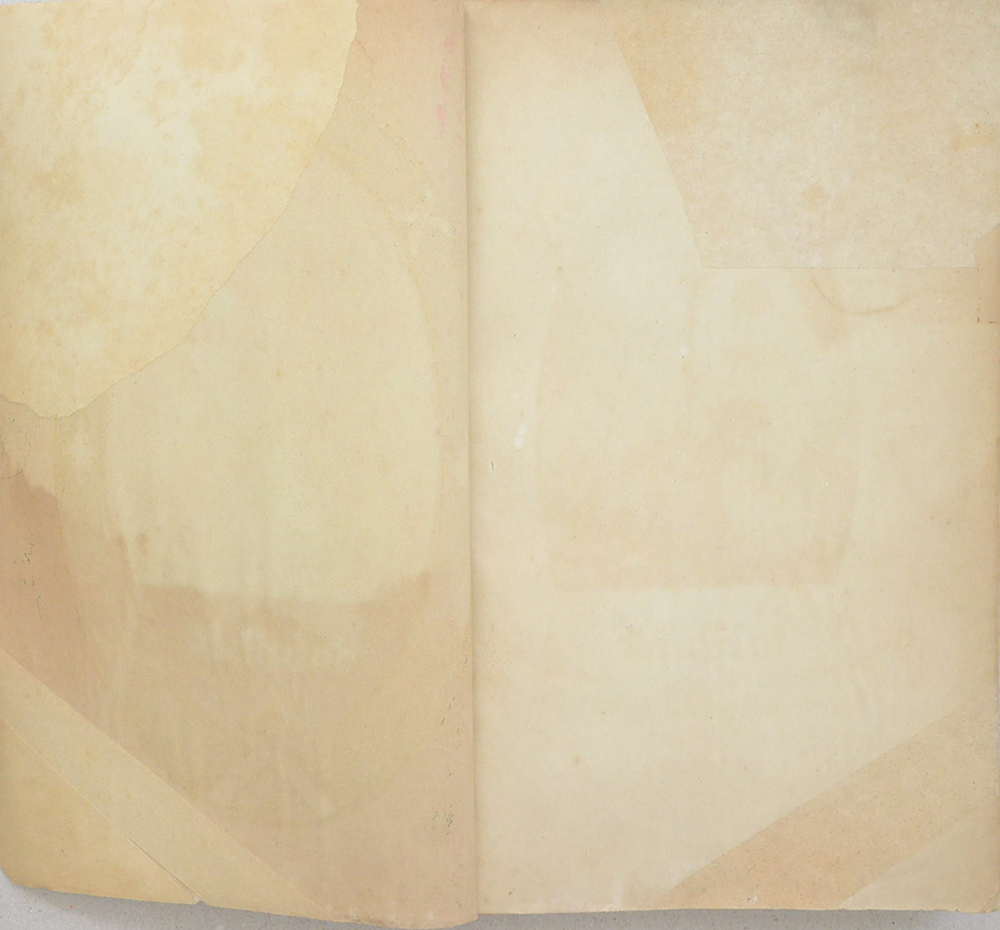 แถลงการณ์เรื่องสามเณรี