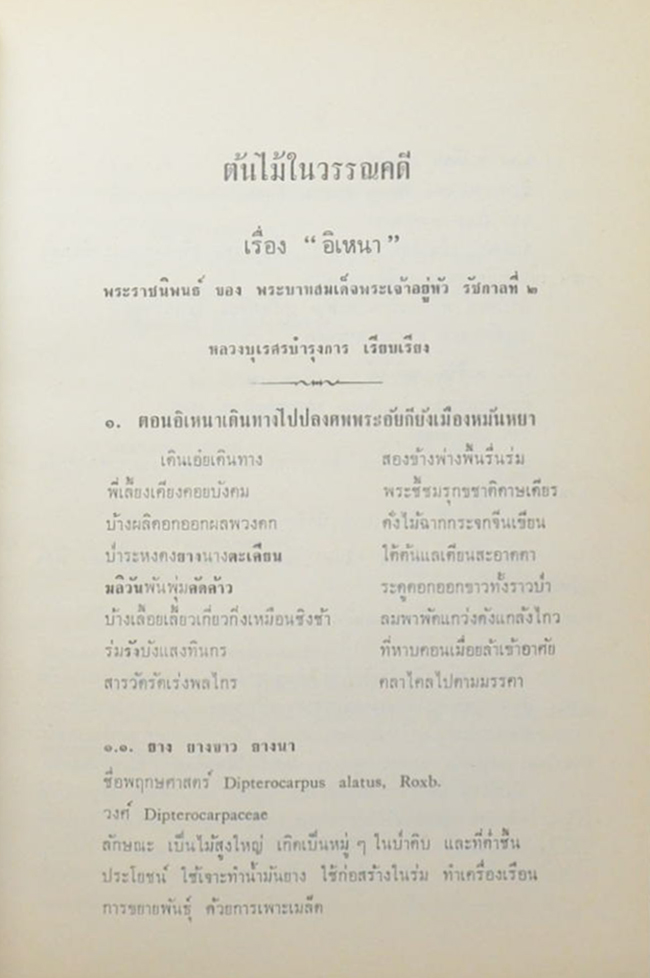 นางไป๋ สุสายัณห์ (ต้นไม้ในวรรณคดี) (ขายตามสภาพ)