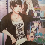 perfect match แฟนฉันรับประกันความเพอร์เฟ็กต์
