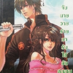 จับนายวายร้ายมารับใช้ยัยคุณหนู