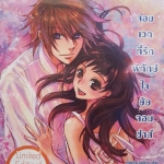 จอมเวทที่รักพิทักษ์ใจยัยจอมซ่าส์