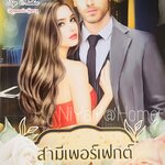 สามีเพอร์เฟกต์