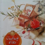 ฝันคืนสู่ต้าชิง ภาค 2