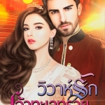 วิวาห์รักเจ้าทะเลทราย