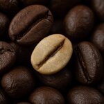 Defect ประเภท “Quaker” ขาวๆ ซีดๆ ยิ่งคั่วอ่อน และ กลาง ยิ่งเห็นชัด