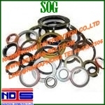 SOG TC 20-28-4 VITON ซีล