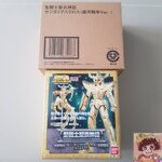 Saint Cloth Myth Sagittarius Cloth Fake Galaxian War Version[BANDAI]Saint Seiya เซนต์เซย่า ซาจิทาเรียส เฟค แกแลคซีวอร์ Exclusive (Japan) «Tamashii Web Shouten Exclusive»