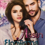 ภรรยายอดพิศวาส ชุด ยอดดวงใจนายหัว 2