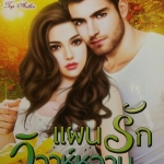 แผนรักวิวาห์หวาม