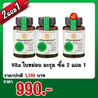 Vita ใบหม่อน มะรุม ซื้อ 2 แถม 1
