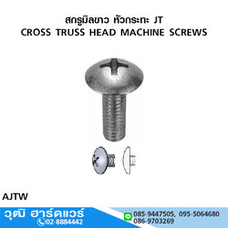 สกรูมิลขาว หัวกระทะ JT+