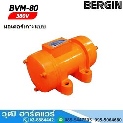 BERGIN BVM มอเตอร์เกาะแบบ 220V และ 380V